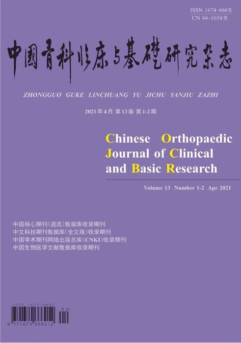 中国骨科临床与基础研究杂志.jpg